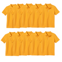 Gold (5-Pack) 14 10-Pack School Uniform Tagless Polo Tshirt for Little Boys & Big Boys